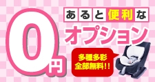 宮崎　格安　無料オプション